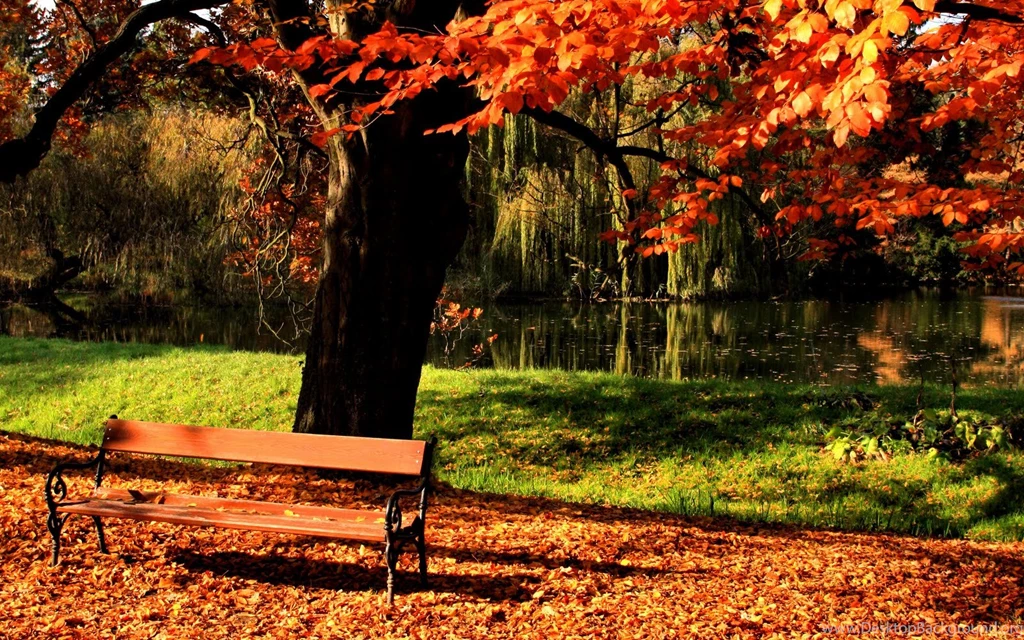 HD Wallpapers Spring Season Wallpapermonkey.com