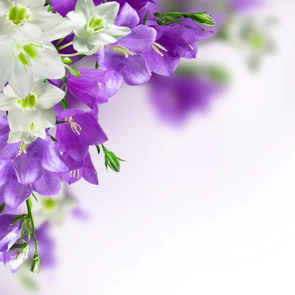 Purple Flower Backgrounds Wallpapers Cave