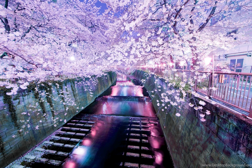 Scenic Computer Wallpapers, Desktop Backgrounds