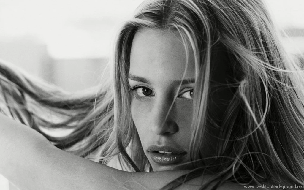6 HD Piper Perabo Wallpapers HDWallSource.com