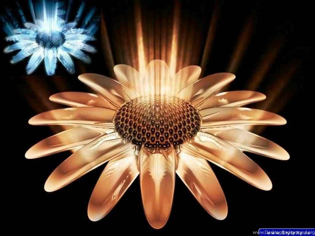 Brown Floral Wallpapers