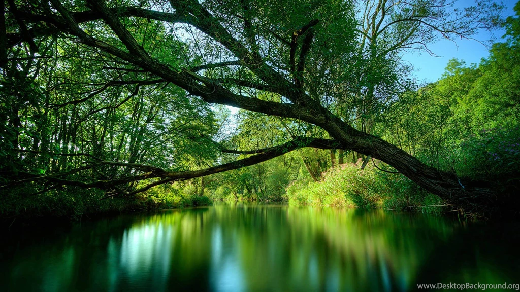 Computer Wallpaper Backgrounds HD Wallpapers Desktop Wallpapers ...