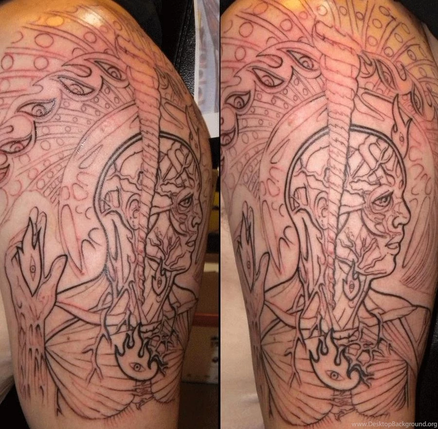 DeviantArt: More Like Lateralus Tattoo By Doctah Jones