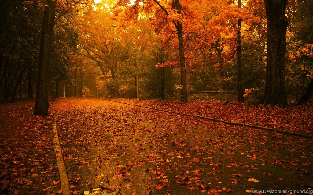 Wallpapers Of Fall Wallpapers Cave