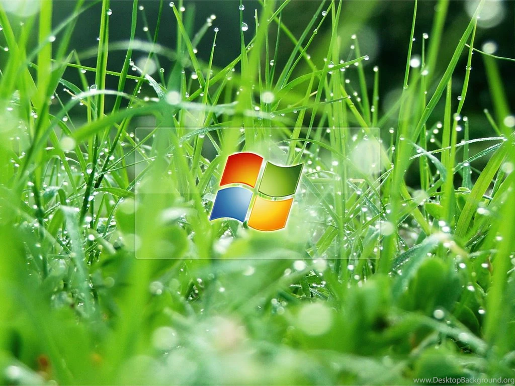 PC Wallpapers Ovaisitoo.xtgem.com