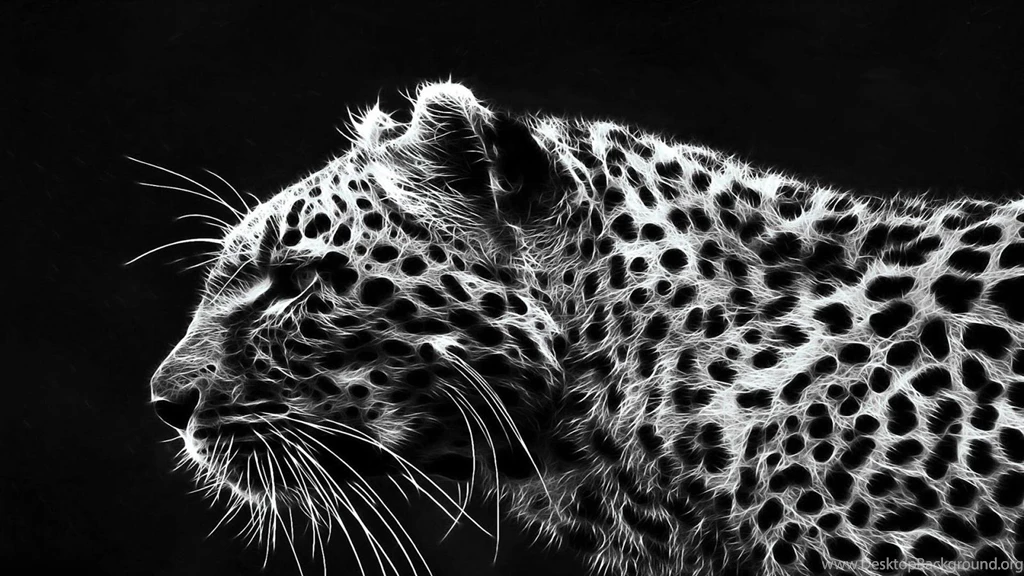 Cheetah Wallpapers Fancy Free Android Apps On Google Play