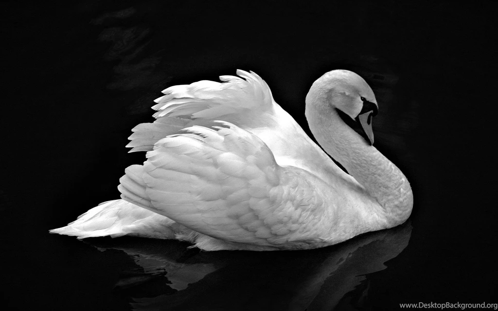 Hd Beautiful Wallpapers