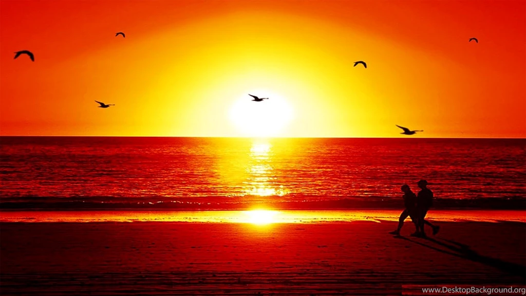Sunset & Couple Image Of Love Free Download HD ...