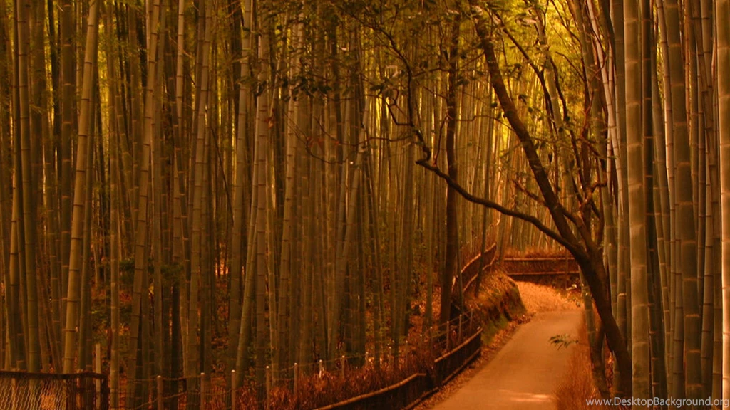 Sagano Bamboo Forest HD Wallpapers 1920x1080px