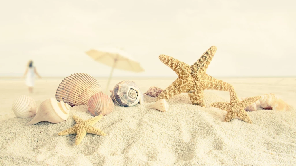 Summer Beach Wallpapers • HD Wallpapers Day