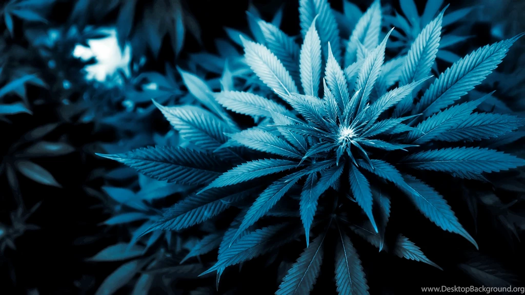 420 Wallpapers 91630 Desktop Wallpapers