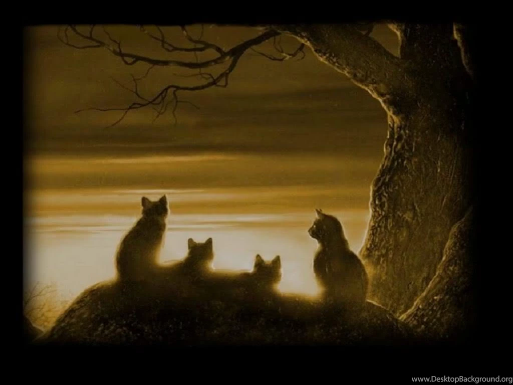 Warrior Cats Wallpapers Desktop Wallpapers Cave
