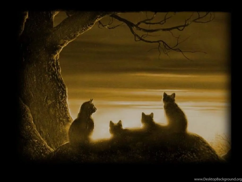 Warriors Cats Desktop Wallpapers