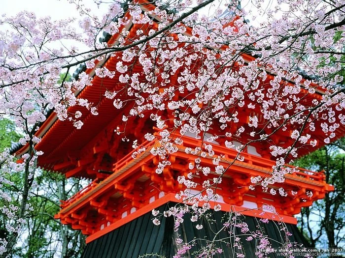 Kyoto Japanese Garden Wallpapers Wallcoo.net