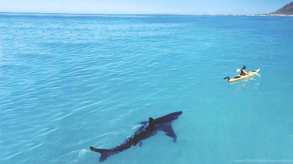 Cool Ocean Backgrounds 27572 Hd Pictures