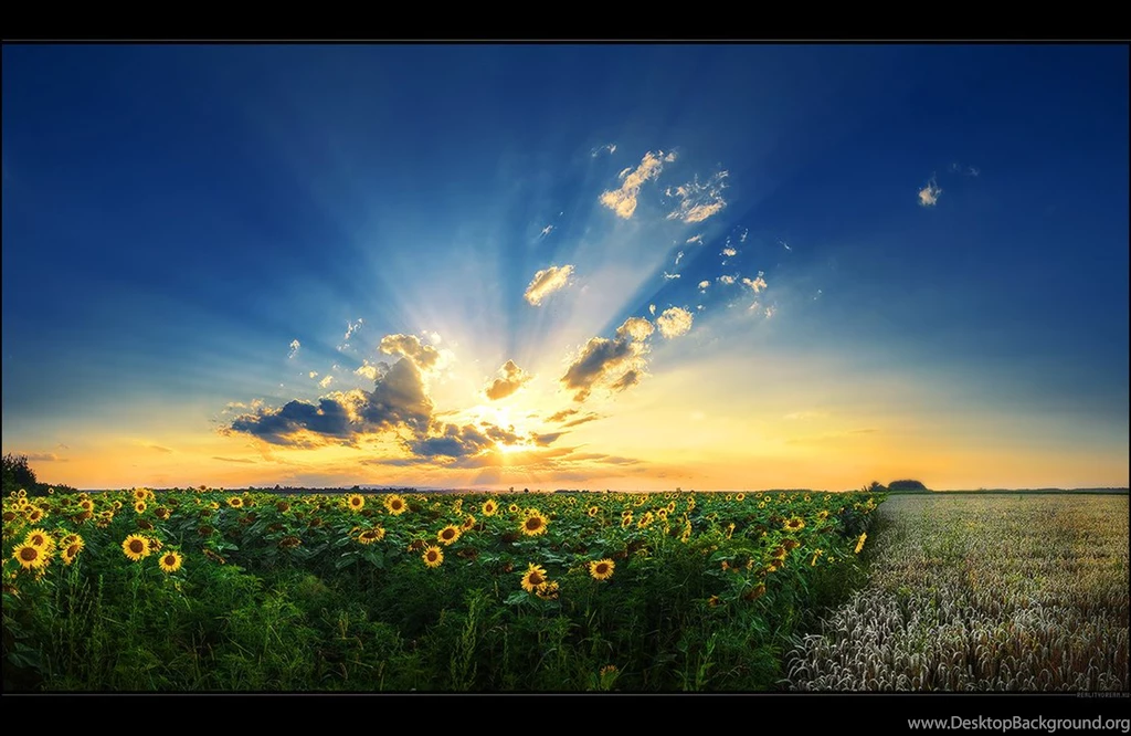 Dreamscape II. By RealityDream On DeviantArt