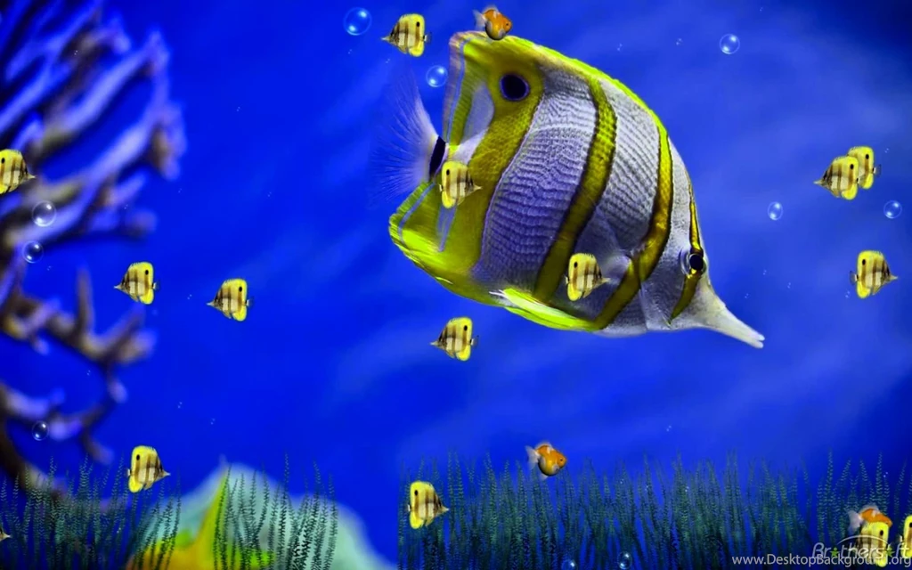 Living Wallpapers For Windows 7 – 1536×960 High Definition ...
