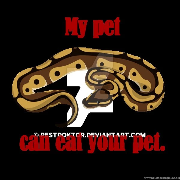 T Shirt Design Ball Python By Pestdoktor On DeviantArt