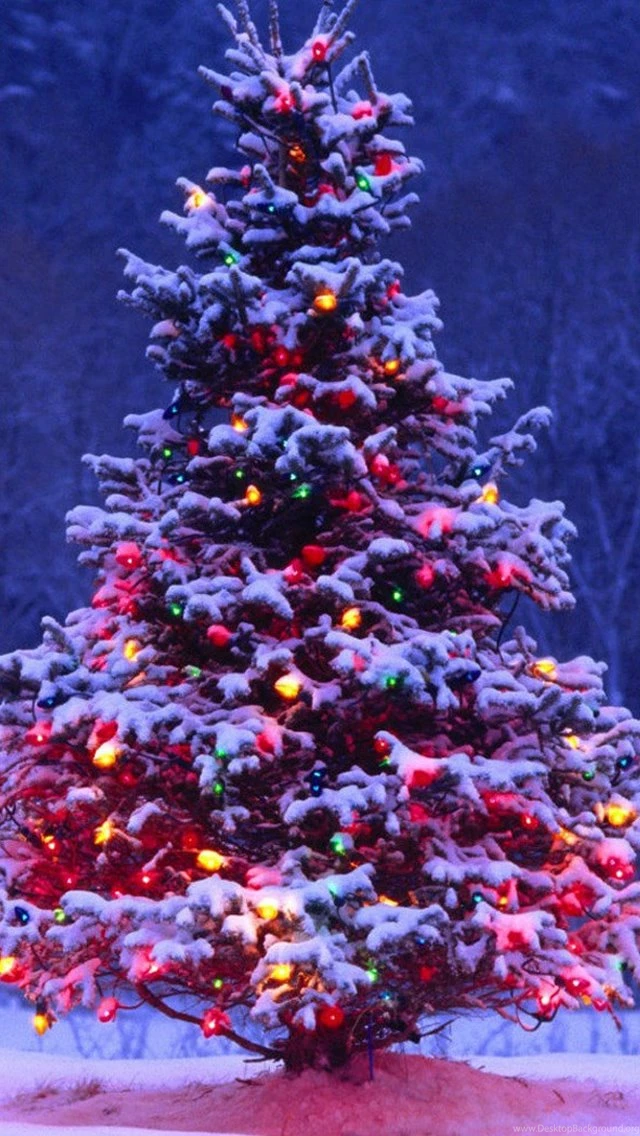 Christmas Wallpapers Iphone Collection (43+)