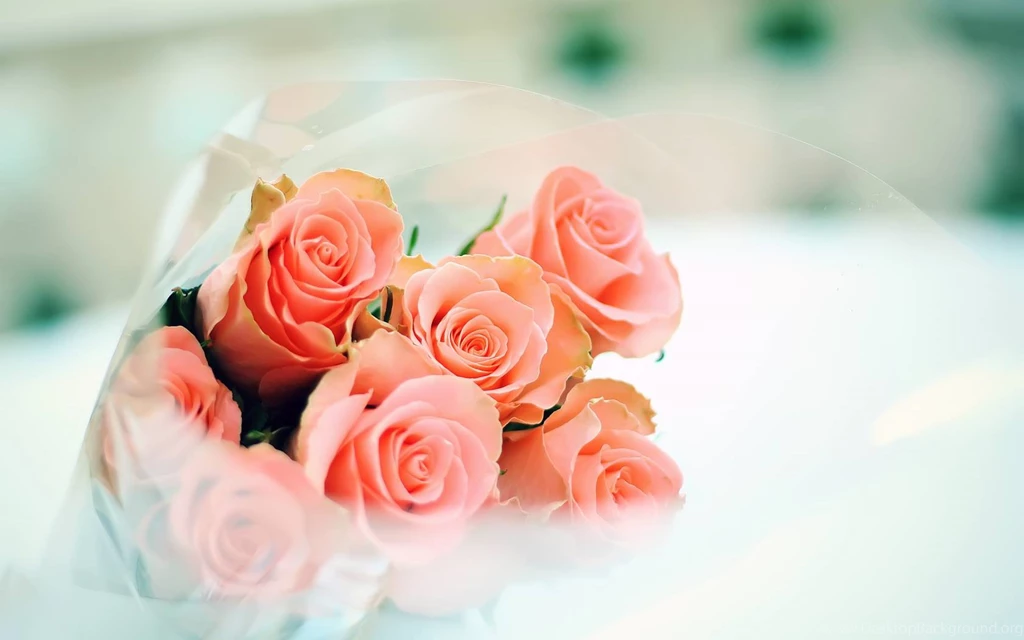 Cute Wallpapers For Mobile