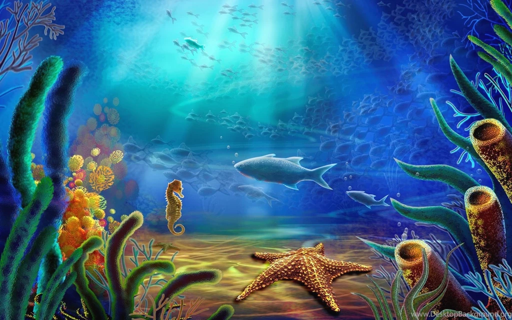 Ocean Life HD Images Fish Wallpapers Hd For Desktop – Fine HD ...