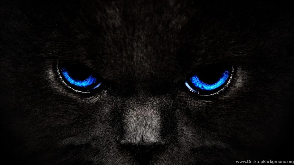 Imagenes Wallpapers Hd