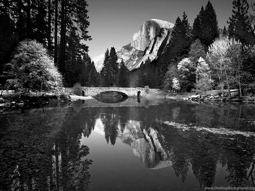 Ansel Adams Lessons TES