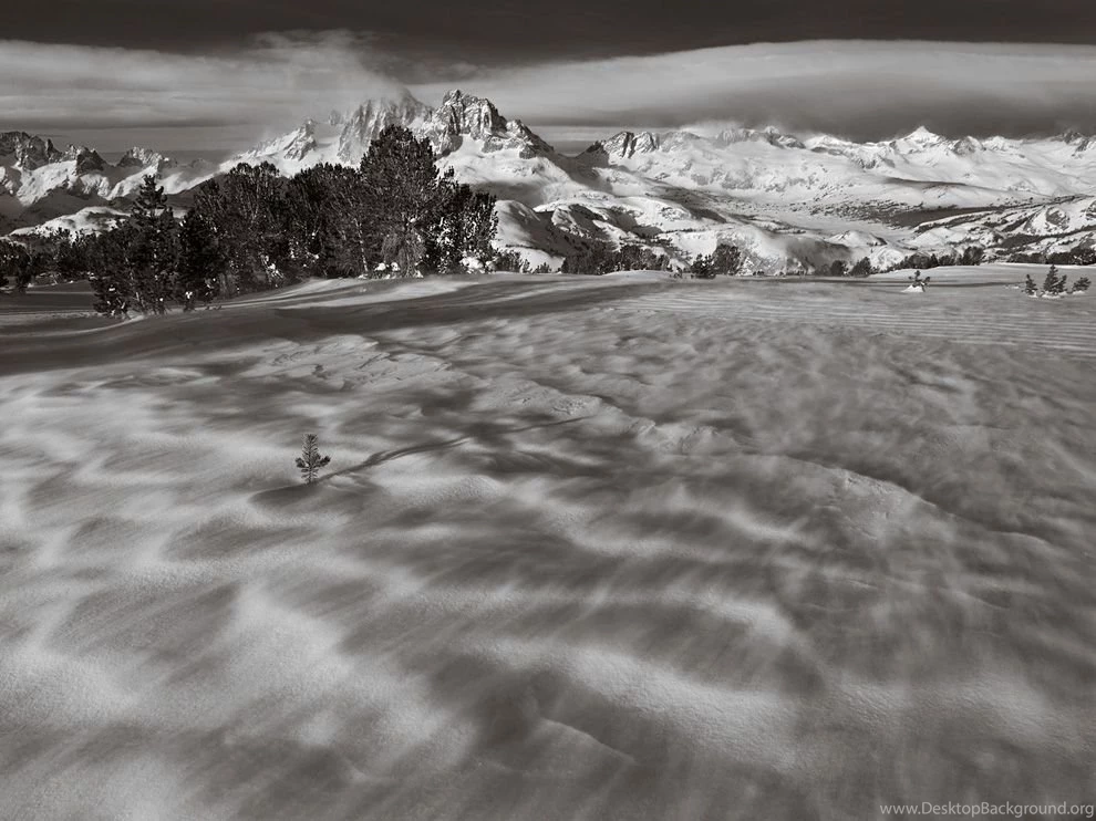 40 Exclusive Black And White Photographs That Will Amaze You ...