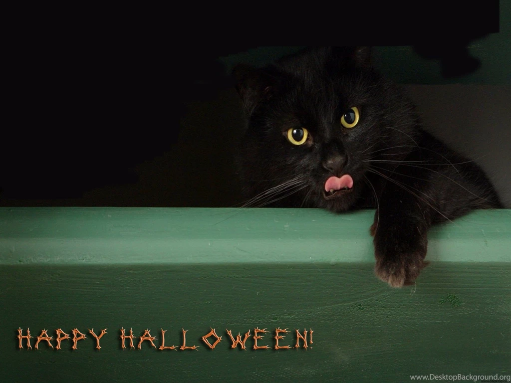 Desktop Wallpapers · Gallery · Miscellaneous · Happy Halloween All ...