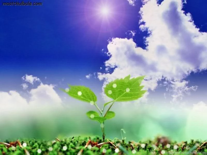 NATURE BLESSINGS: Beautiful Wallpapers For Nature Lovers
