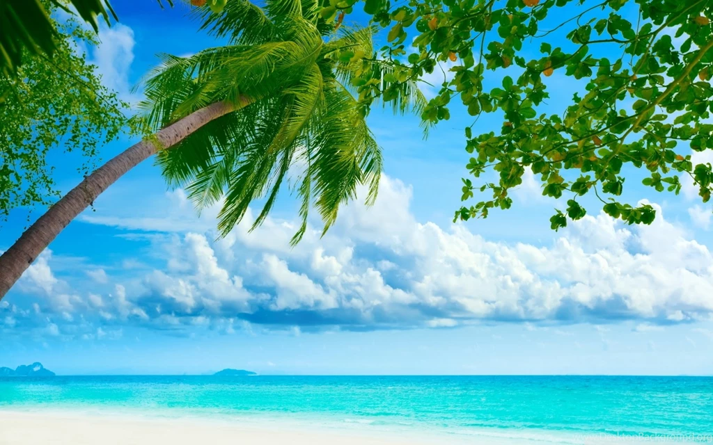 Tropical Beach Resorts HD Desktop Wallpapers : Widescreen : High ...