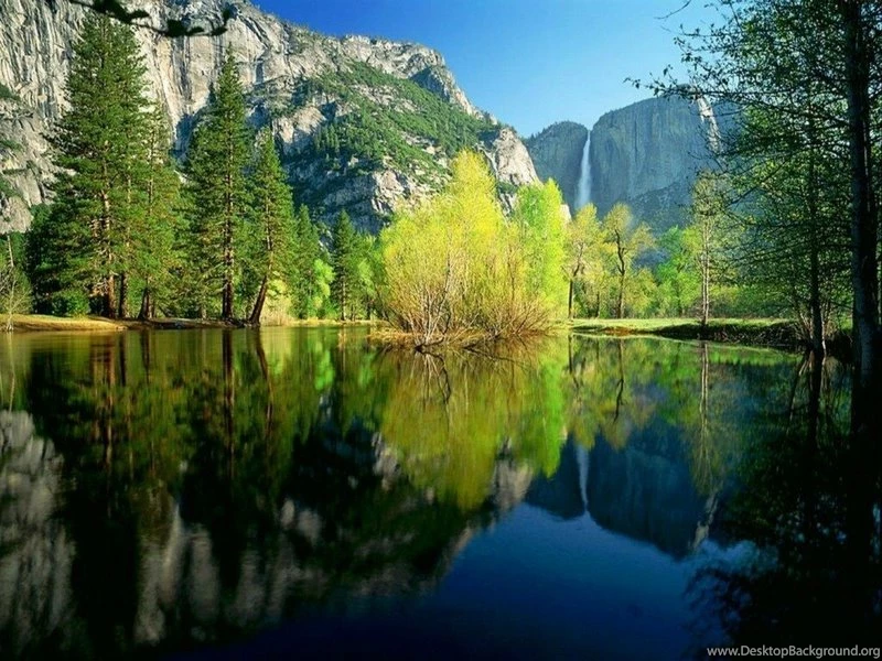 Mountain Tree Beautiful Mountain – Nature Mountains HD Desktop ...
