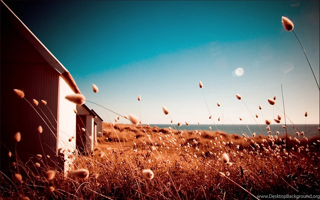 Photography Wallpapers