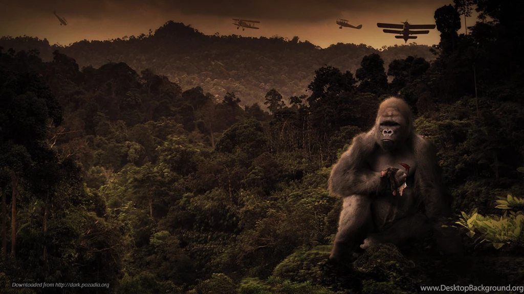 Lost Everything Alternative King Kong Wallpapers From Dark Wallpapers