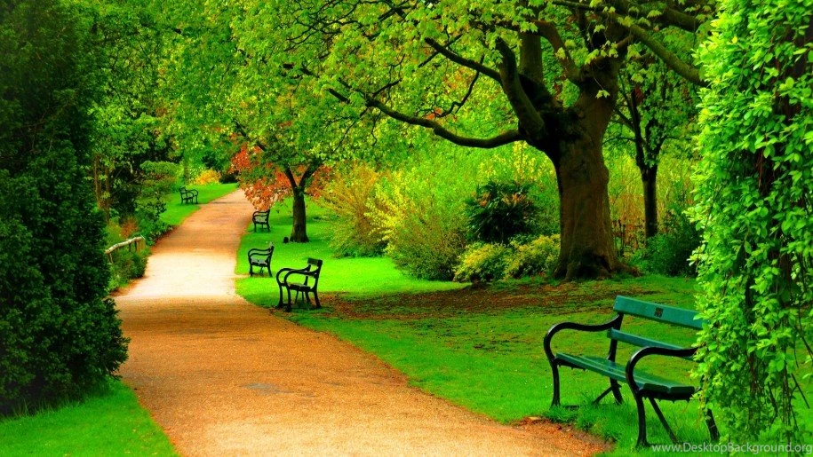 Green Park Trees Nature Beautiful Day Hd Wallpapers 1871 ...