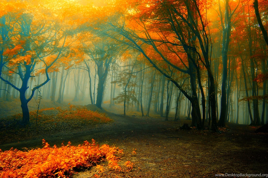 Fall Picture Wallpapers : Nature Wallpapers Ngantukan.com