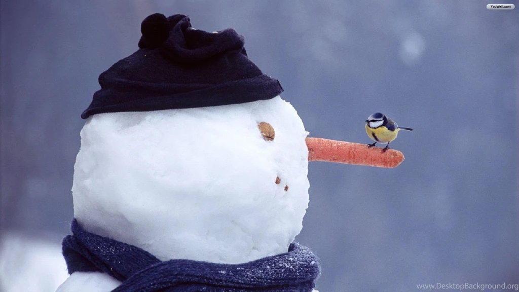 YouWall Snowman And Sparrow Wallpapers Wallpaper,wallpapers ...