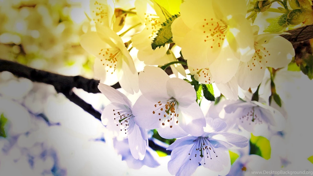 However, The Desktop Wallpapers Stand Clear Views 49407 Rural ...