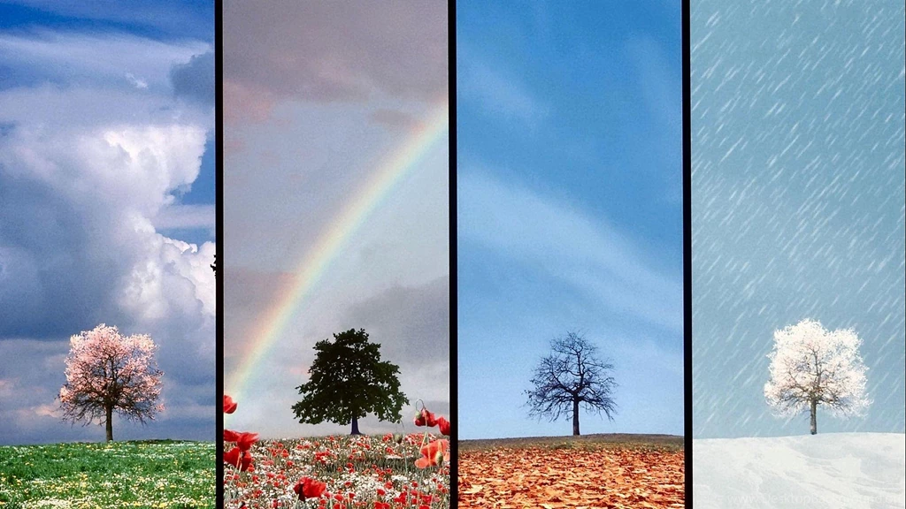 A TREE OF ALL SEASONS WALLPAPER (