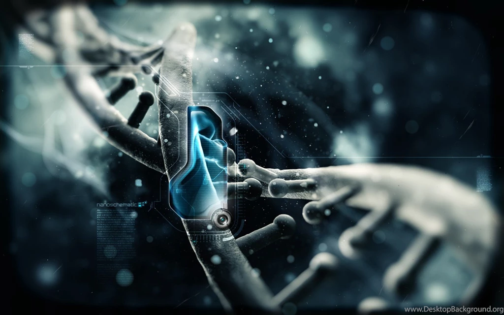 Most Wanted WALLPAPERS 3D HD For Desktop