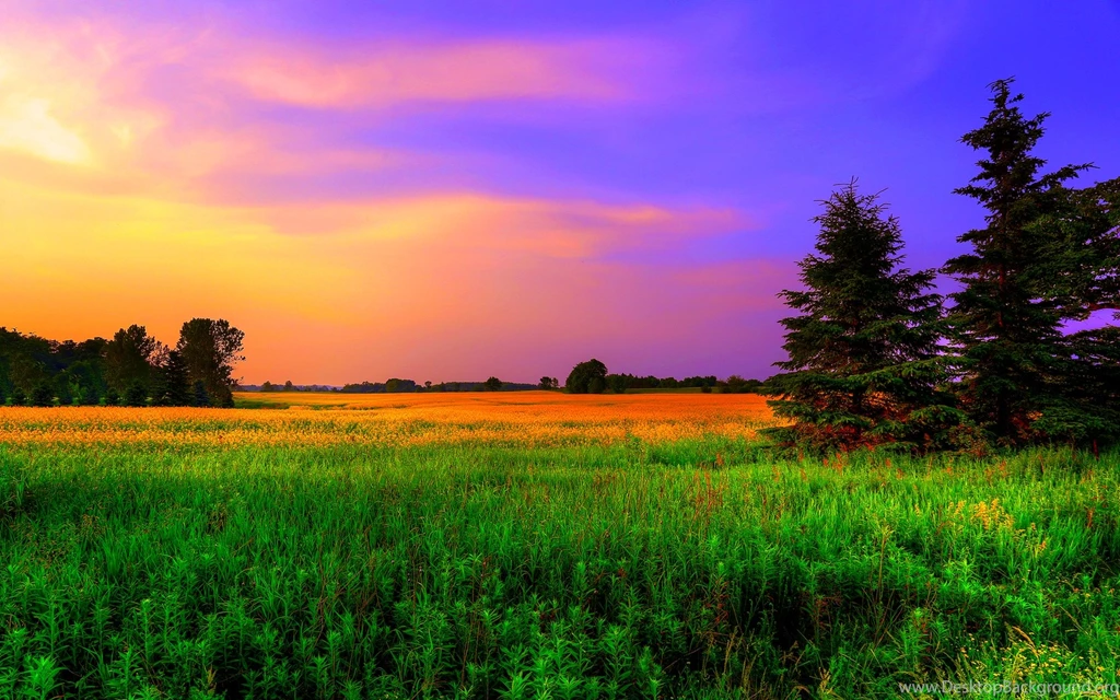Colors Of Nature Wallpapers
