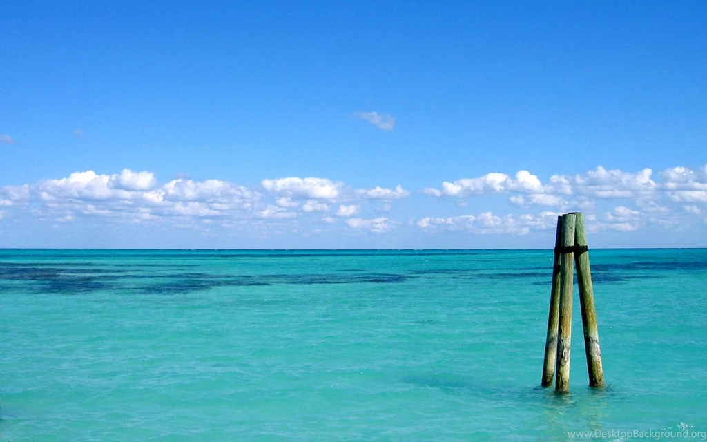 Ocean Water Tropical Landscape