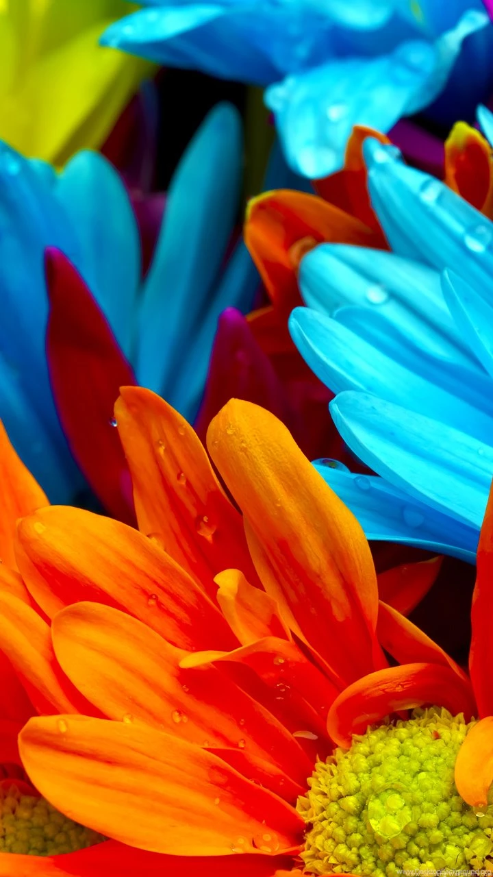Beautiful Natural Stock 720x1280 Samsung Galaxy S4 Wallpapers ...