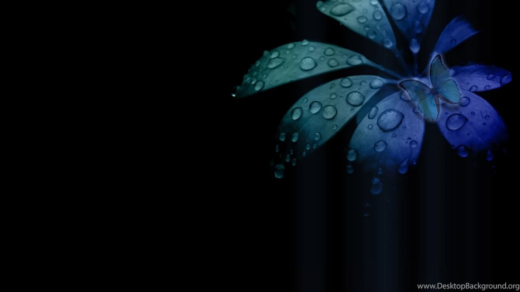Blue Flower With Butterfly Wallpaper hd Wallpapers Wave