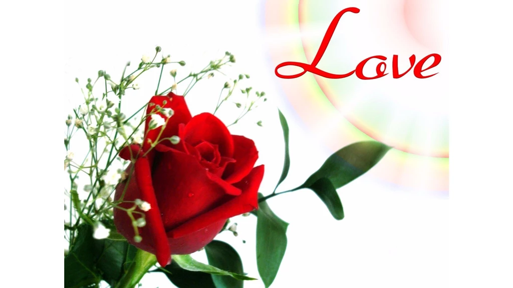 Best 2016 4K Love Wallpapers