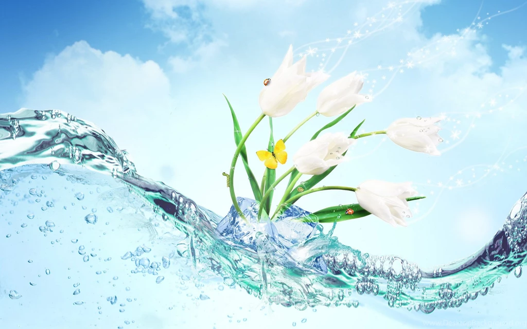 Vector, Artwork, Tulips, White, Background, Adjusted, Wallpapers ...