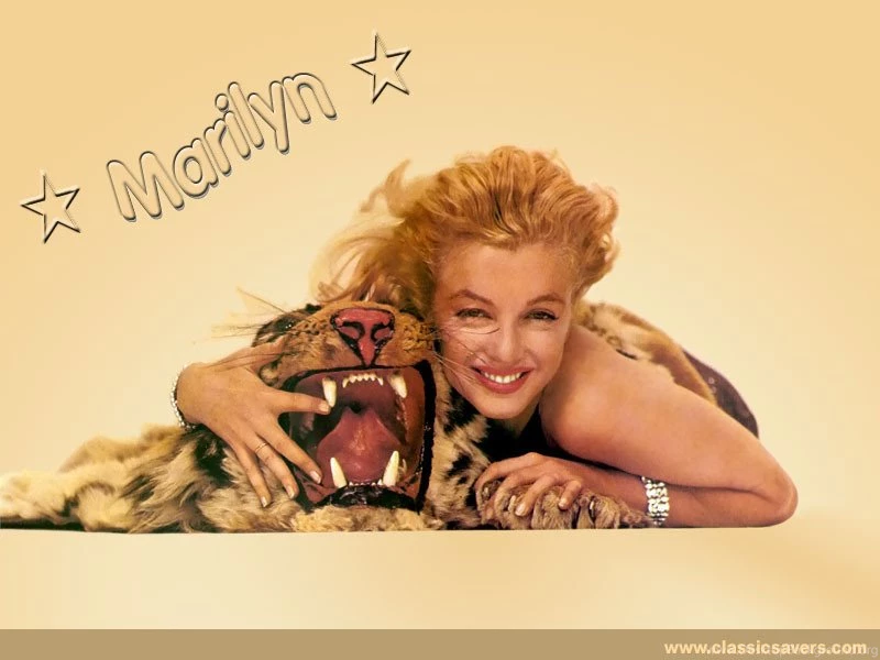 Marilyn Marilyn Monroe Wallpapers (5450765) Fanpop