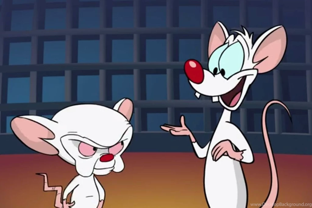 Featured image of post Pinky And The Brain Wallpaper Iphone 3 pinky and the brain high quality wallpapers for your pc mobile phone ipad iphone