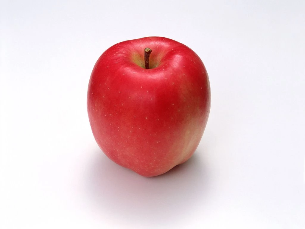 Fruit Photography : Apples On Tree, Fresh Apples 1024x768 NO.27 ...