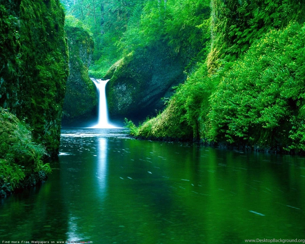 Wallpapers Desktop Nature Summer